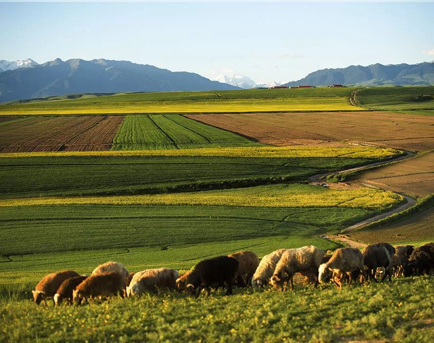 凯时K66官网 - 凯时优质运营商首页